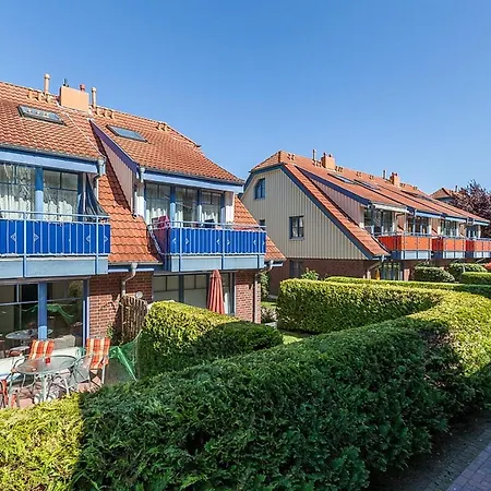 Papillon 15-4 * 博尔滕哈根