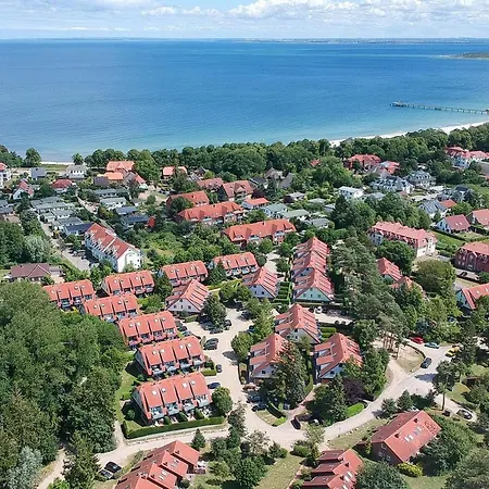 Papillon 15-4 博尔滕哈根